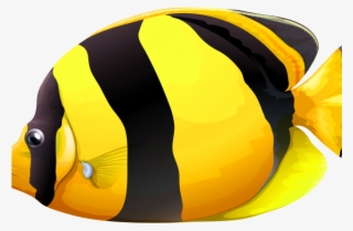 Butterflyfish Clipart Fish Tank - Vagabond Butterflyfish