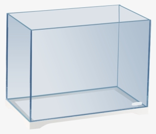 Lightbox Moreview - Rectangular Glass Water Tank