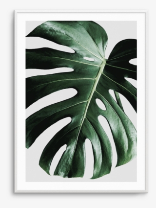 On Grey Monstera - Painting