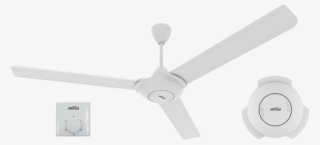 Ceiling Fan