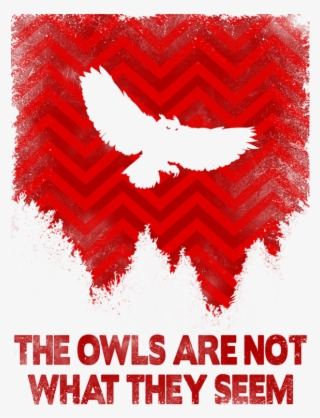 Owls Are Not What They Seem Png