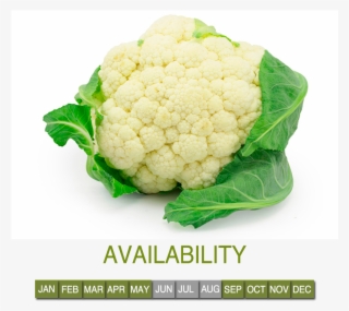 Request Information - Gobi Png