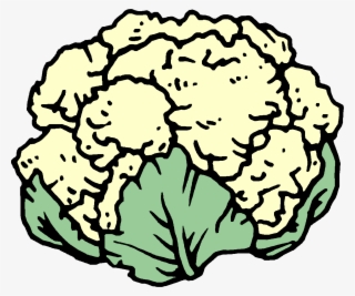 Cauliflower Broccoli Cabbage - Clip Art Cauliflower