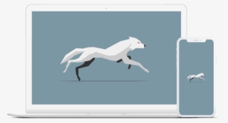 Today We're Releasing An Alpha Version Of Our Swift - Stallion