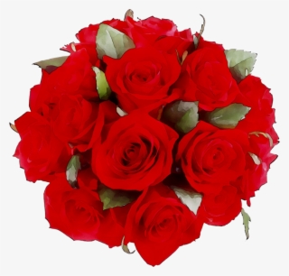 Portable Flower Garden Roses Graphics Network Clipart - Floribunda