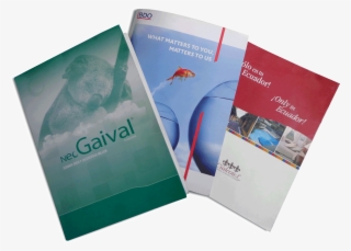 Diseño Carpetas Corporativas - Flyer