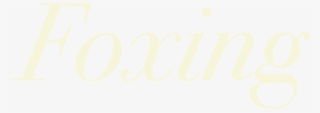 Store - Calligraphy