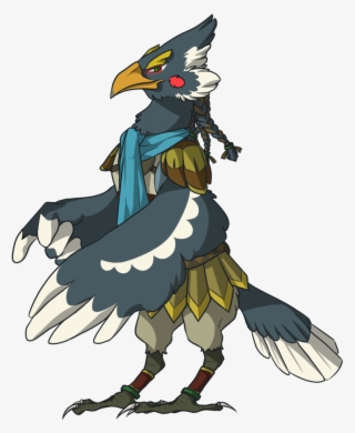 Tak "one-shot" Fenix Tak Fenix - Phasianidae
