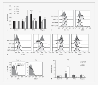 Olive Pollen Lip - Illustration
