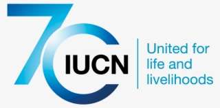 Interested In Becoming A World Chimpanzee Day Partner