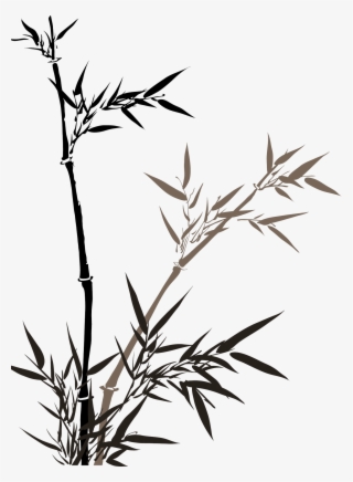 China Bamboo Wash - Chinese Bamboo Ink Painting