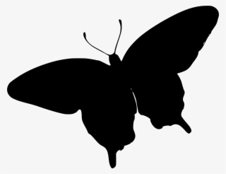 Download Png - Animation Butterfly Clips Arts