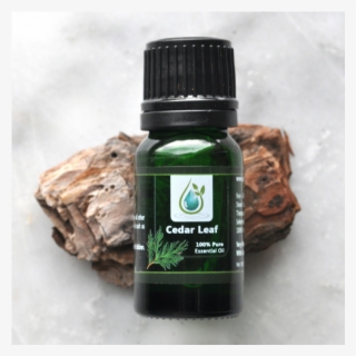 Leaf Cedar 100% Pure Essential Oil 100% Pure Essential - Chocolate