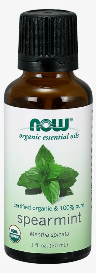 7465 V1 - Myrrh Essential Oil Now