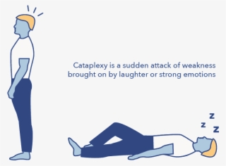 Sleep Education Article, Hypersomnia, Cataplexy Graphic - Illustration