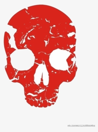 Bone Human Skull Skeleton Free Transparent Image Hq - Skull