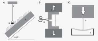 Methods Used For Mechanical Testing Of Small Specimens - Diagram