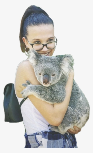 Millie Milliebobbybrown Freetoedit - Punxsutawney Phil