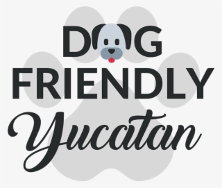 Dog Friendly Yucatan - Panda