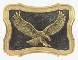 Httpwww - Atwoodsoutdoors - Comimagesmontana10061463 - Bald Eagle