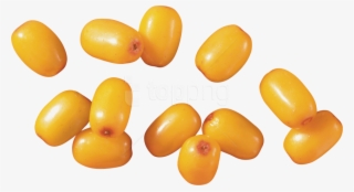Free Png Download Sea Buckthorn Png Images Background - Sea Buckthorn Png