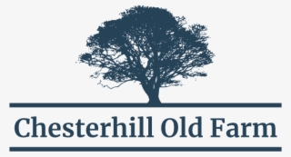 Black Oak Tree Clipart