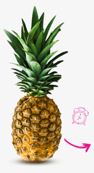 Pineapple Will Get Softer, But Not Sweeter - Biro Pen Fruit Drawings