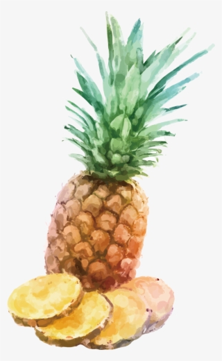 Fresh Pineapple Slices - Watercolor Painting
