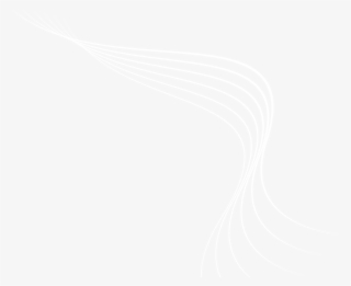 Apply For A Grant - Capital One Logo White Png