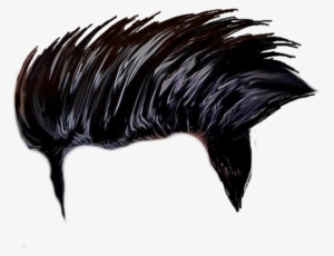 Black Hair Png Cb Hair Png Download - Cb Edits Background Png