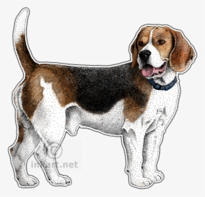 Beagle Decal - Dog