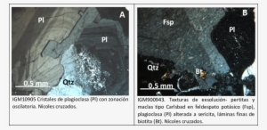 Texturas Y Minerales En Los Monzogranitos Del Cuerpo - Mineral