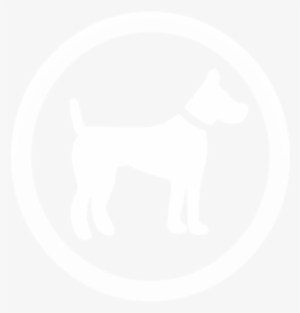 Señales De Transito Perros