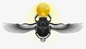 Dung Beetle Ancient Egypt Scarabs - Жук Скарабей С Крыльями