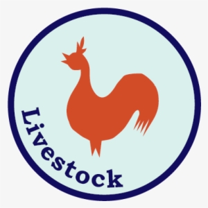 Livestock