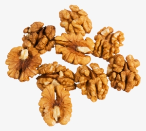 Walnut Png