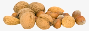 Walnut Png - Nuts Png