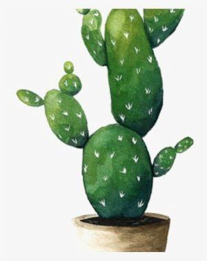 Cactaceae Watercolor Painting Succulent Plant Drawing - Aquarell Kaktus