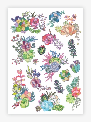 Succulents - Succulent Plant