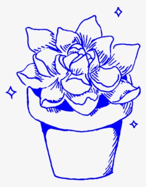 Aesthetic Succulent Succulents Cactus Cacti Plant Plant - Transparent Png Aesthetic White Blue