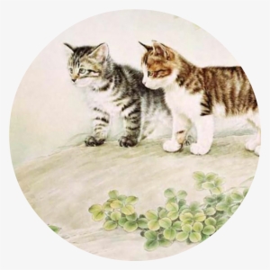 Mc Kittens - H.a.d. Originals Outdoor Grey, Headbands For Men