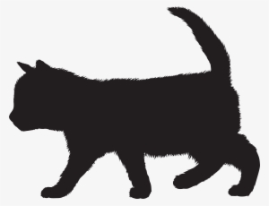 Kittens Png