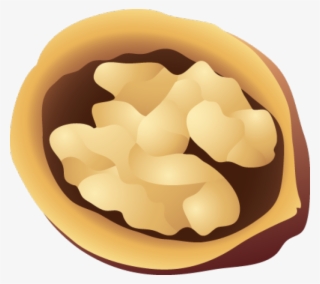 Hamster Eating Walnuts Stock Vector - Walnut Clipart Png