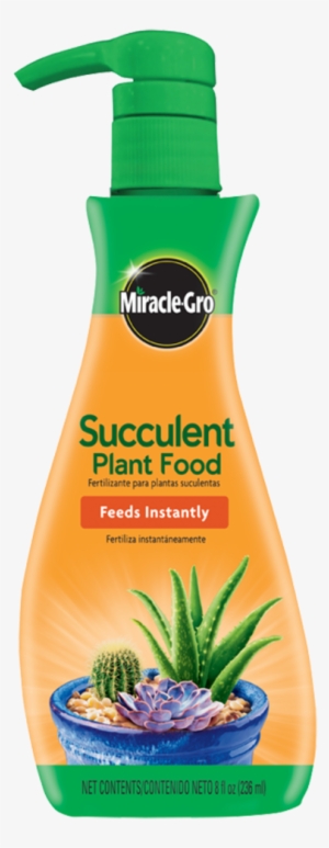 Prevnext - Miracle Gro Succulent Plant Food