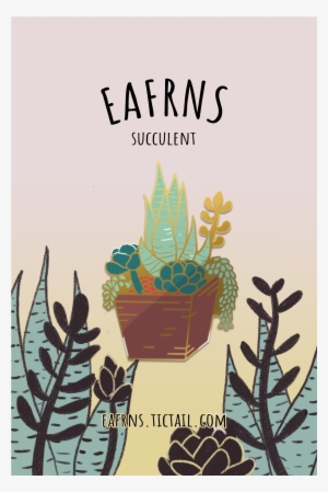 Succulent Plant