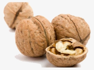 Walnut Fruits