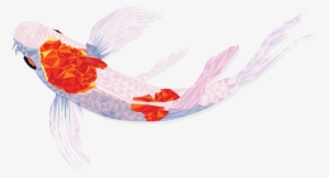 Koi - Portable Network Graphics