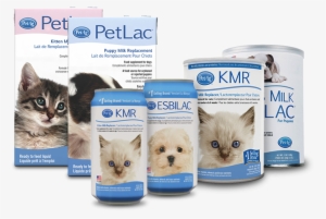 Products-layout - Petlac Liquid Milk Replacement 32 Oz, Kitten