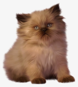 Kitten Persian Clip Art Transprent Png Free - Ragdoll Cat Clipart