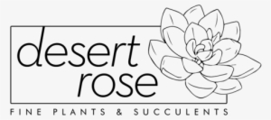 Desert Rose Succulents Desert Rose Succulents - Japanese Camellia